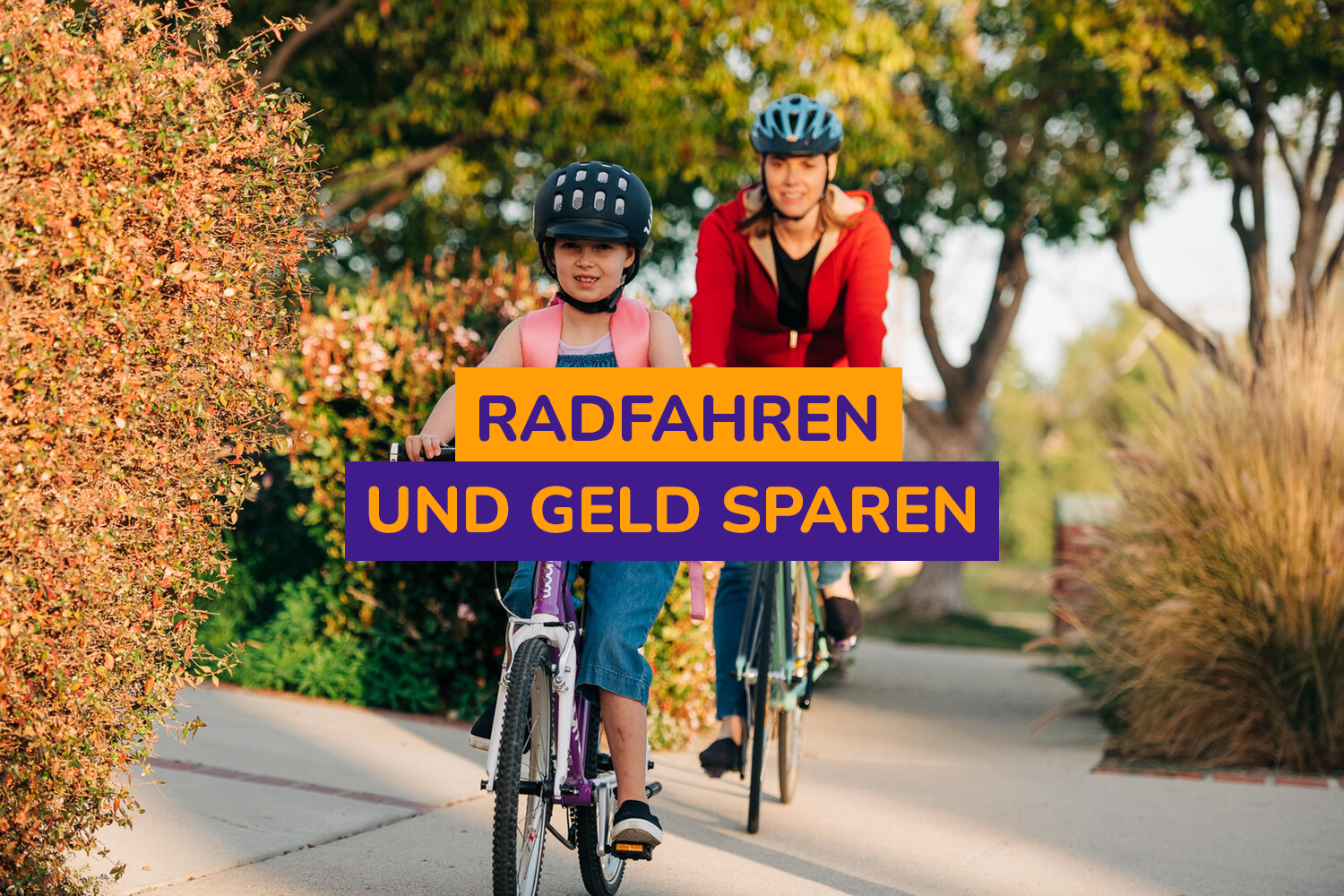 zelt schnell trocknen Three Bears Instant Pop Up 3-4 Personen Zelt mit Einfacher Automatischer Aufbau, Ideal für Camping, Reisen & Outdoor-Abenteuer – & Einfach in Sekunden Aufgebaut Sport & Freizeit Maße + Form:2.5×2.5m – Quadrat YGroup_5140225 DJI Goggles N3: Complete