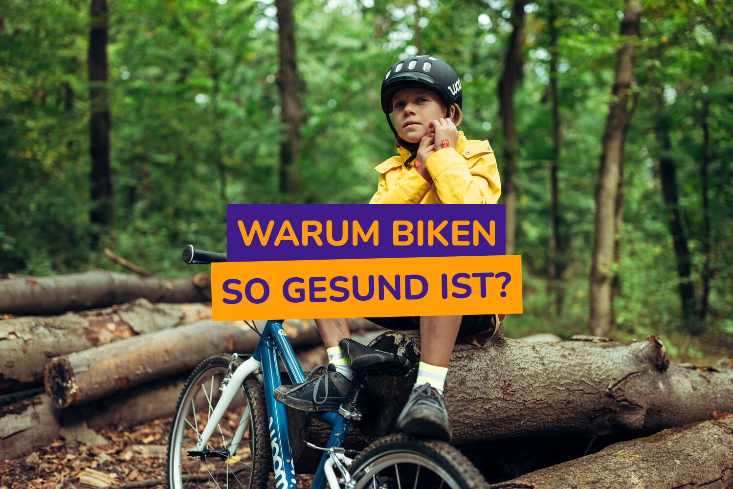 Warum Fahrradfahren so gesund ist  Studien und Tipps fr Eltern  Bike  Club DE