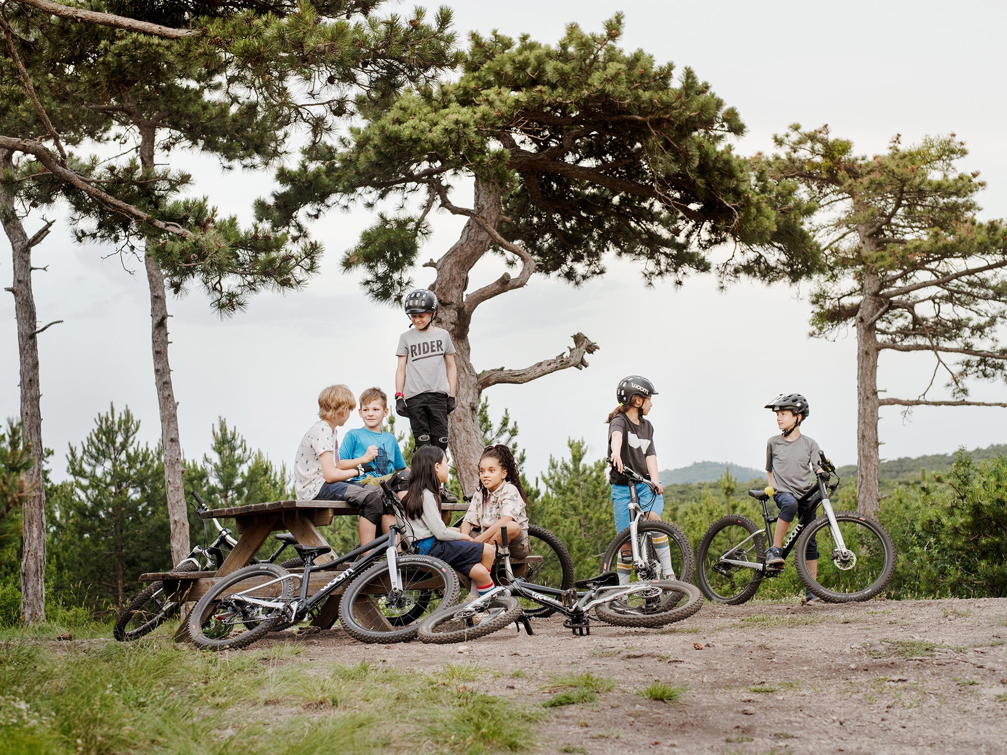 Eine Gruppe von Kindern in der Natur, die sich ausruhen und unterhalten, daneben ihre schwarzen Mountainbikes Woom Off 6 26-Zoll